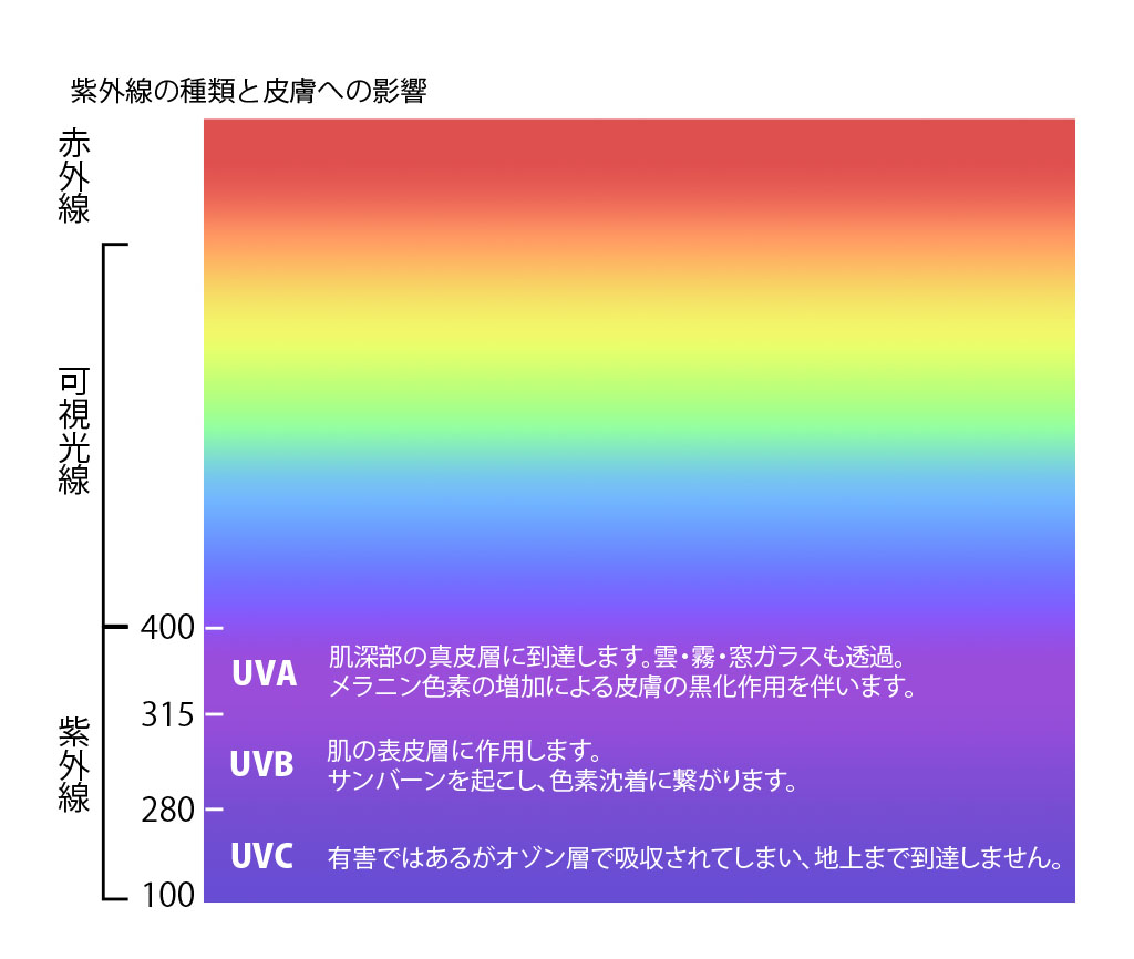 UV-CUT