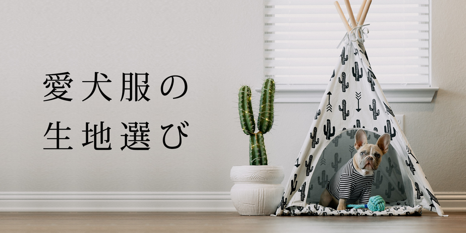 dogwear