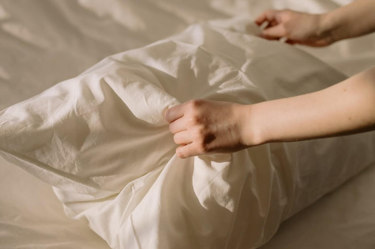organic-cotton-オーガニックコットンとは?