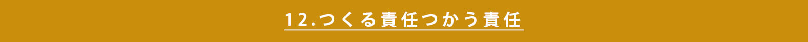 sdgs-japanese-approach