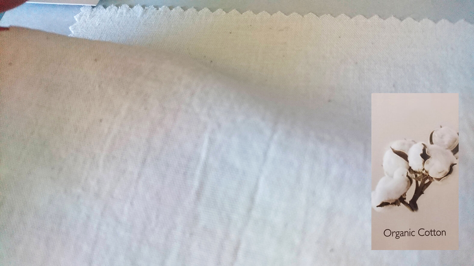 organic-cotton-オーガニックコットンとは?