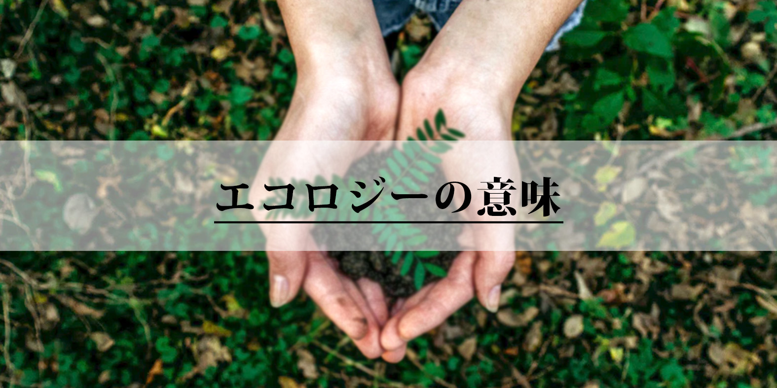 ecology-economy