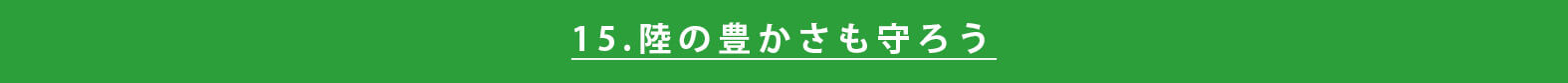 sdgs-japanese-approach
