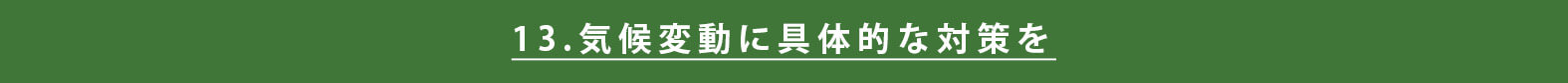 sdgs-japanese-approach
