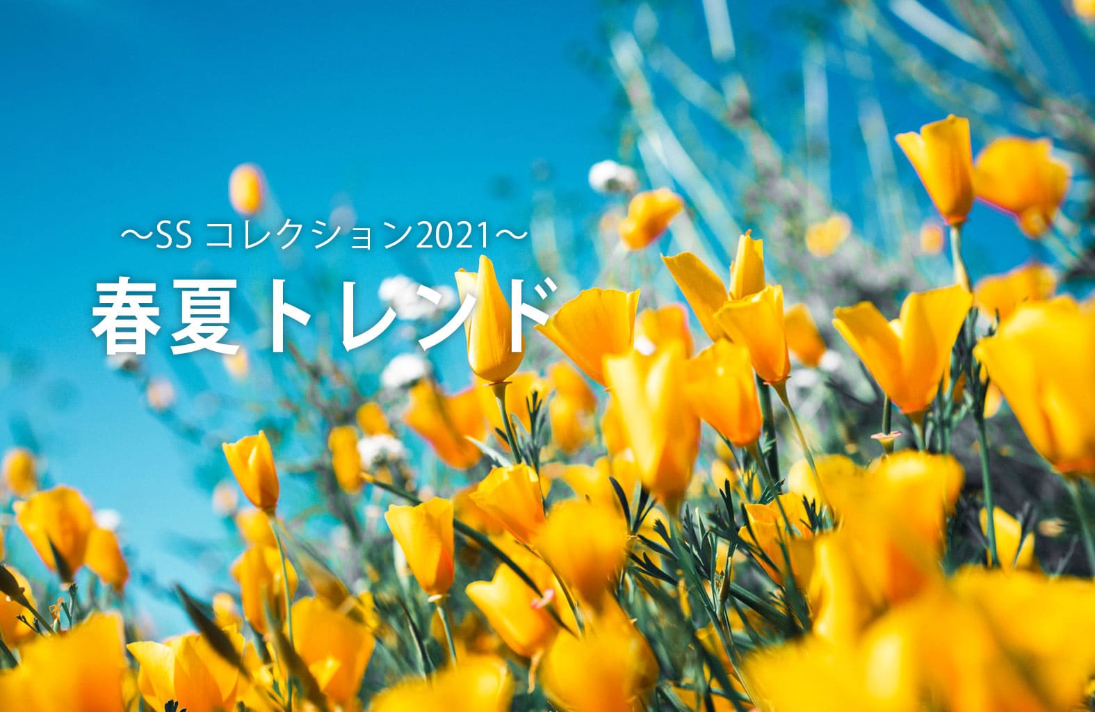 ss-trend-2021