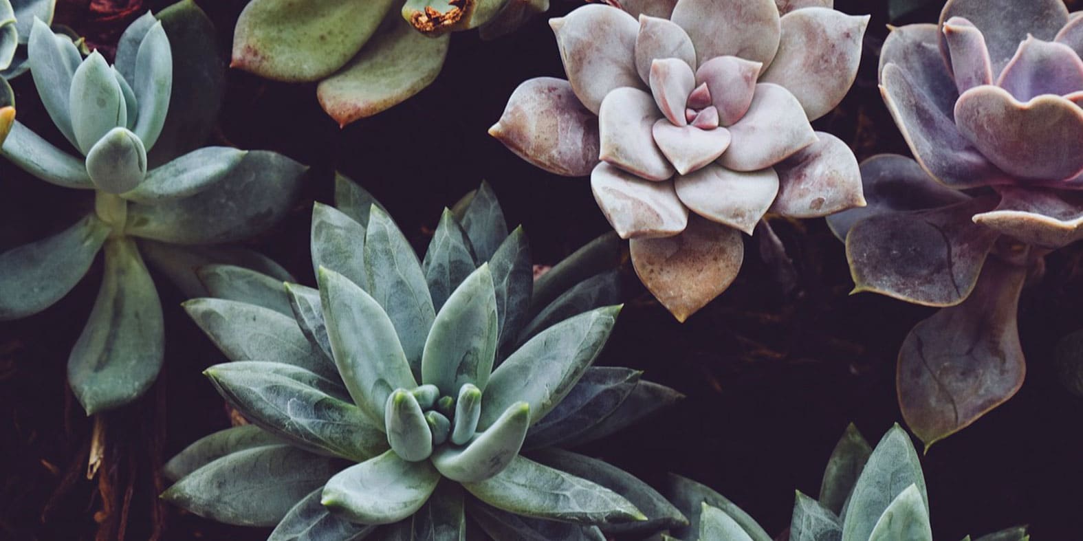 natural-fashion-simple
