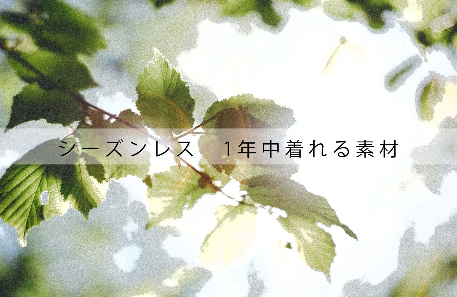 seasonless-sozai