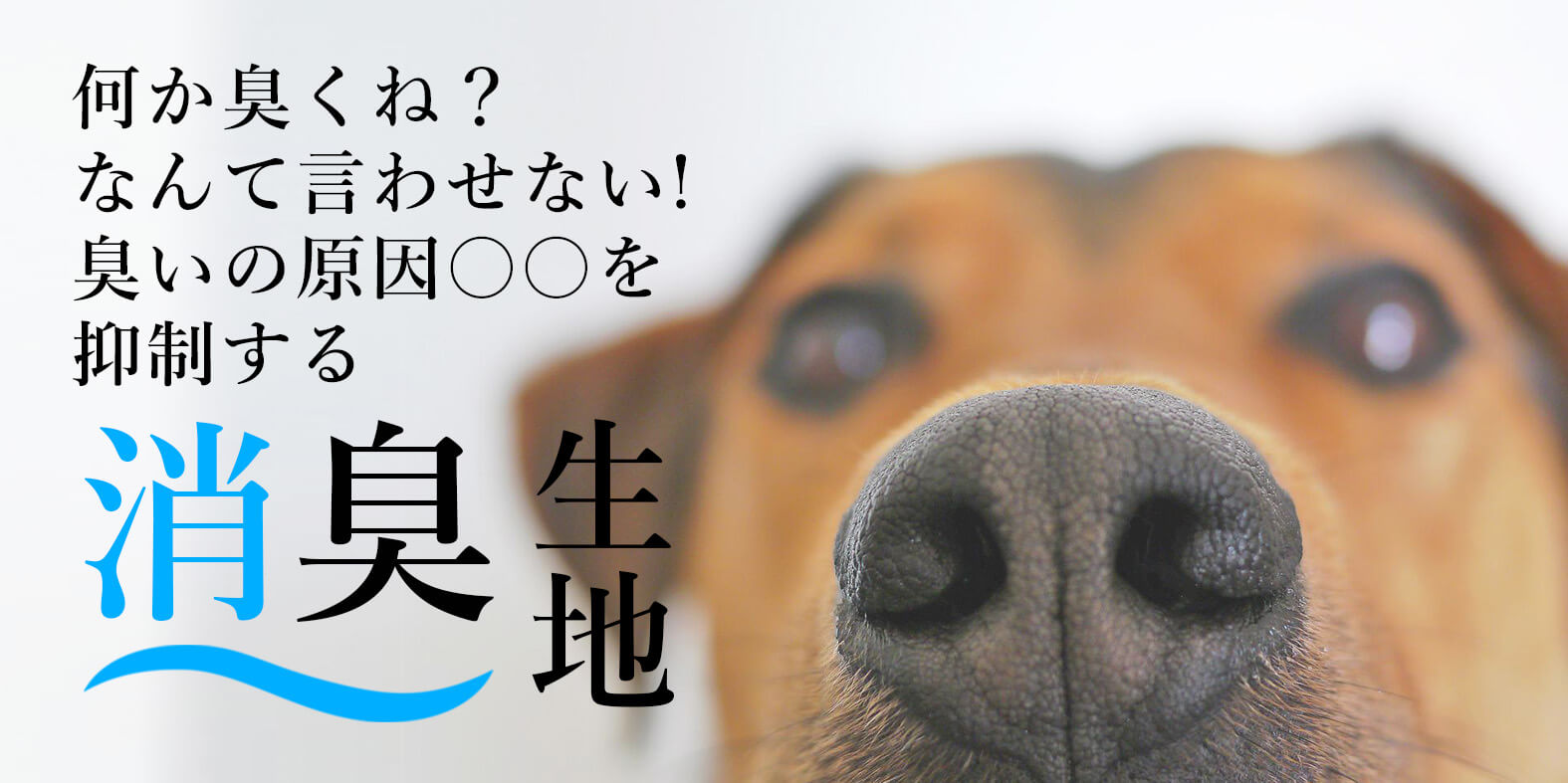 smell