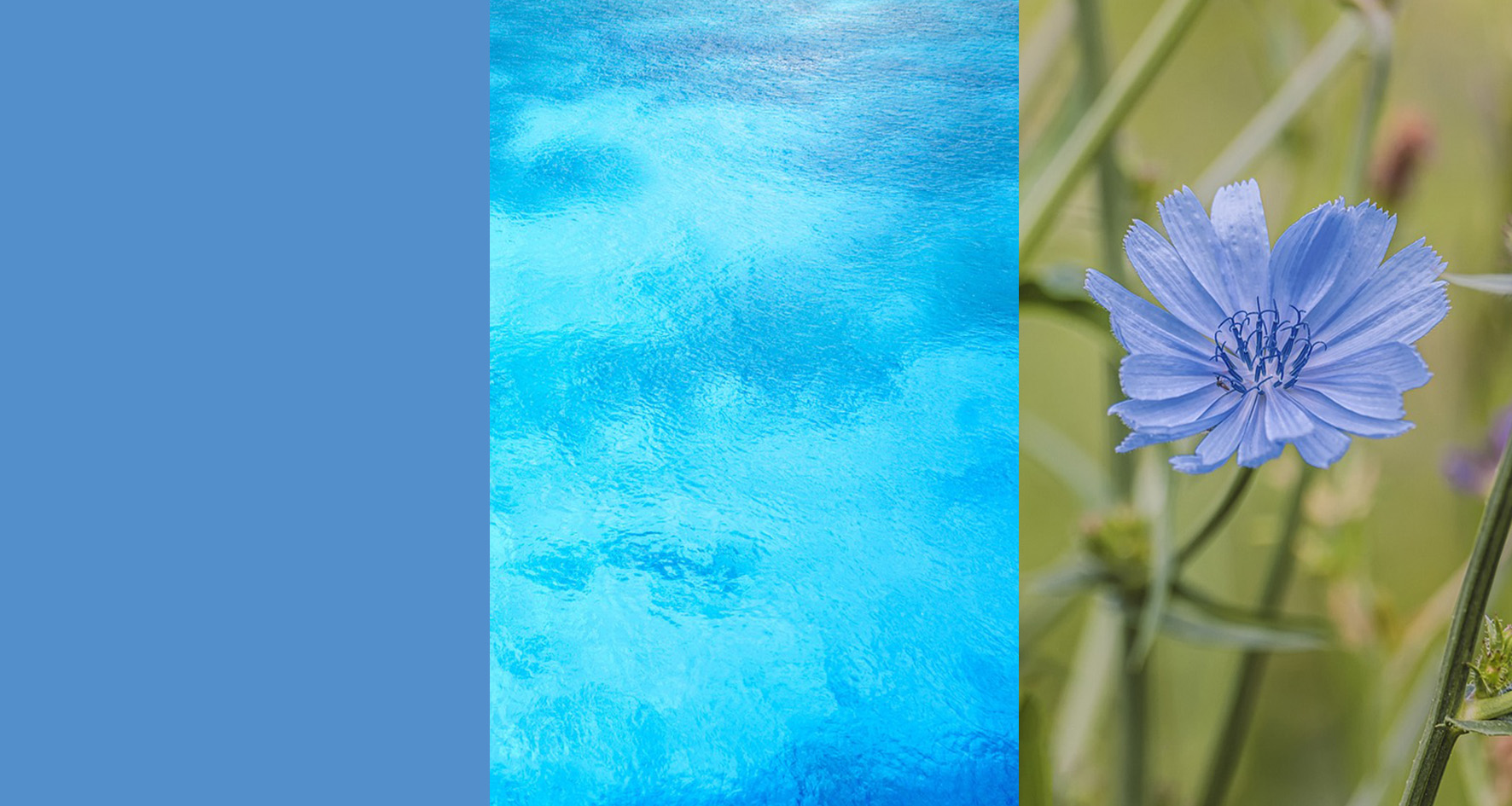 helloblueimage