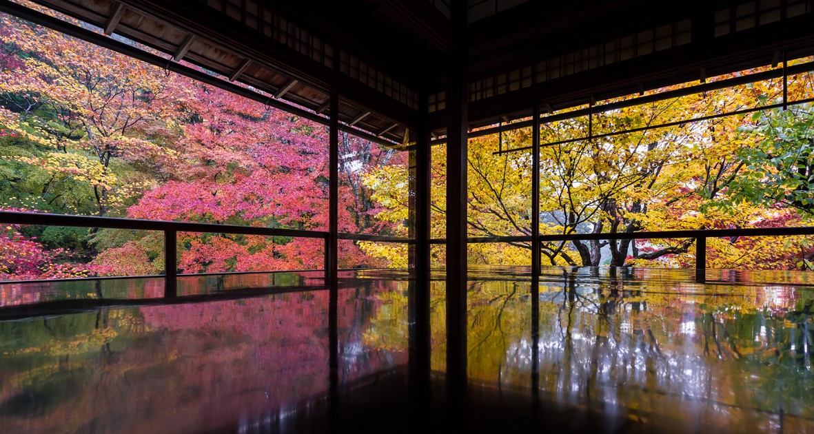 japanesepattern